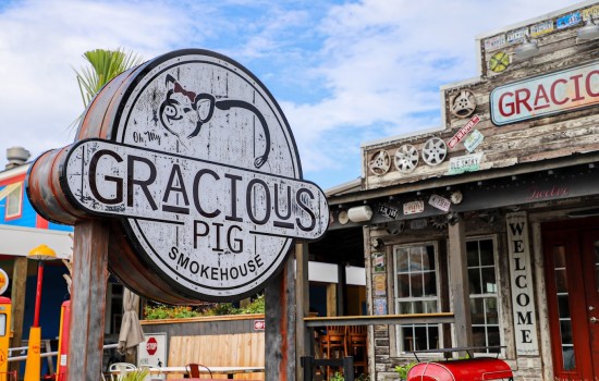 Gracious-Pig